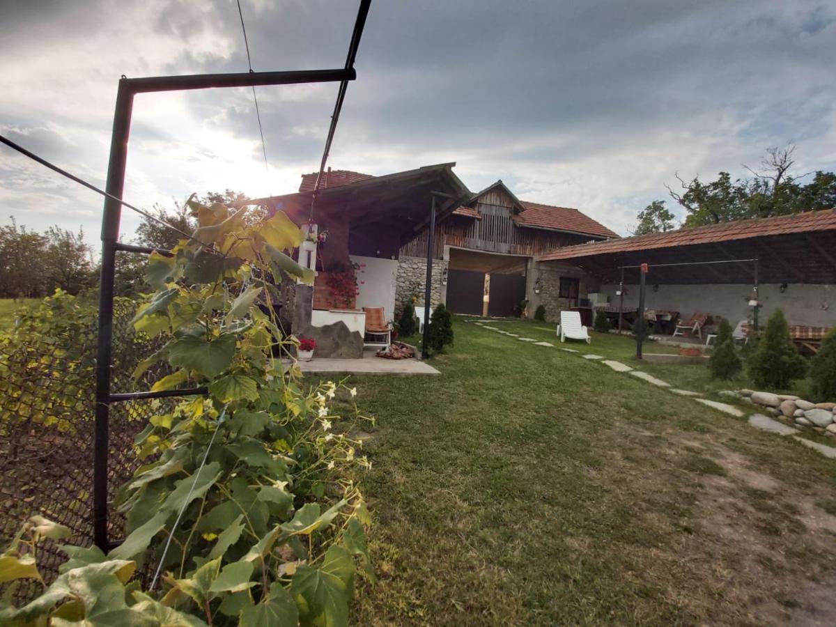 Pensiunea Angelica Baia de Fier Buitenkant foto