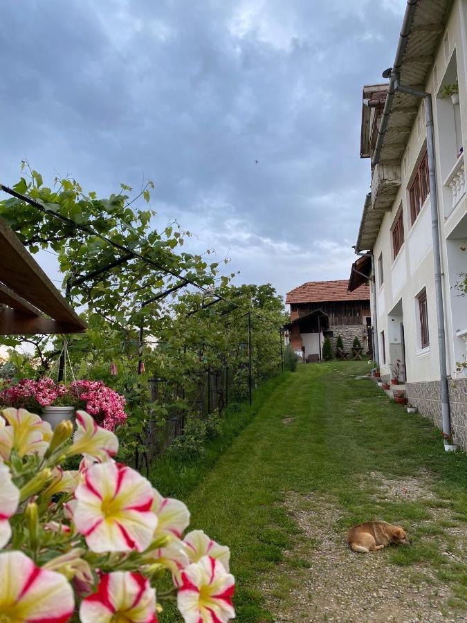 Pensiunea Angelica Baia de Fier Buitenkant foto